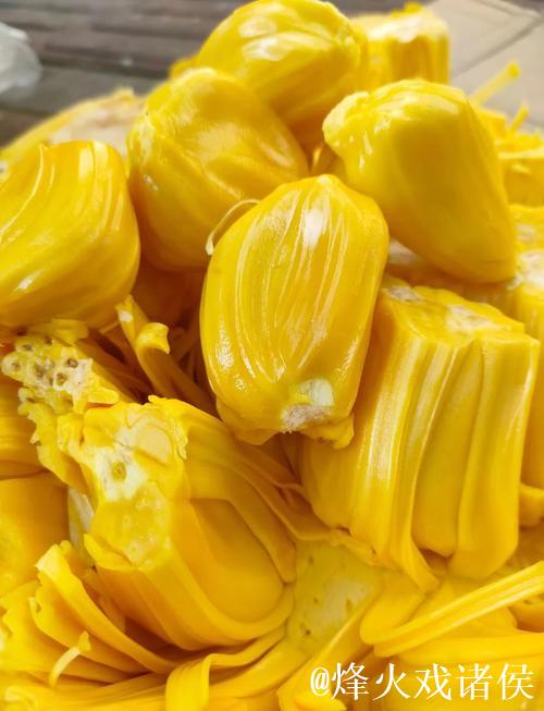 菠萝蜜在线视频观看