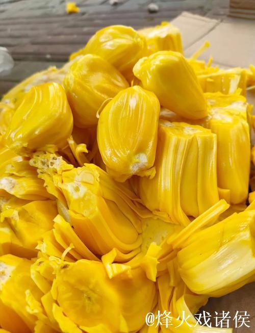 菠萝蜜在线视频观看